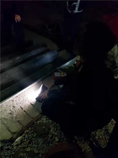 流動的藝術館·與城共舞|海！左岸藝術中心