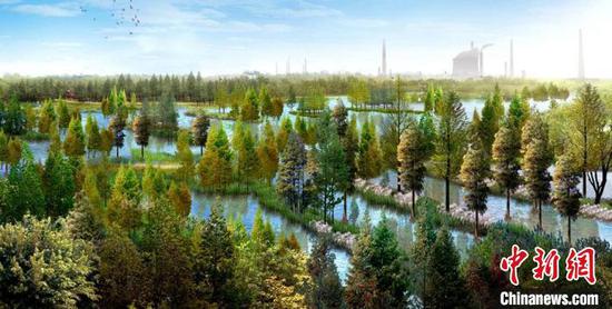 武漢:瞄準長江兩岸做“綠文章”