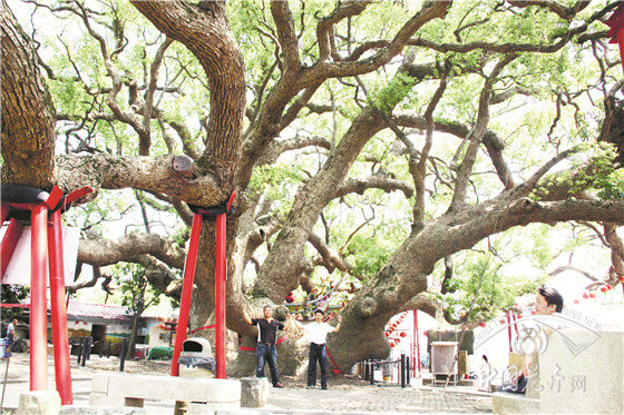 從綠化角度談城市公共空間的綜合利用