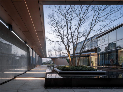 2020,我們依然在路上丨棲地設計2019優秀項目合集