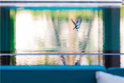 2020,我們依然在路上丨棲地設計2019優秀項目合集