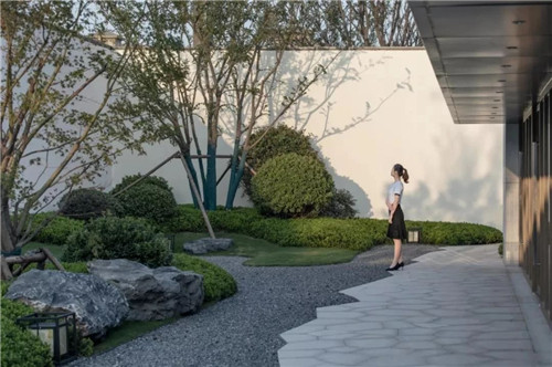 2020,我們依然在路上丨棲地設計2019優秀項目合集