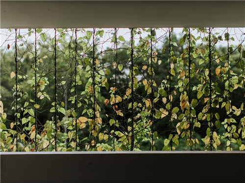 園冶杯專業獎|馬來西亞H2O住宅景觀