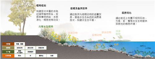 園冶杯專業(yè)獎|北京市麗澤金融區(qū)河流綜合整治方案