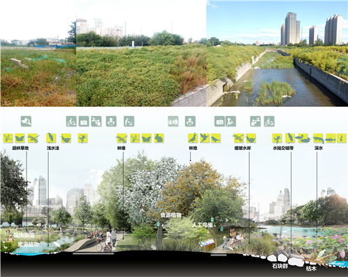 園冶杯專業(yè)獎|北京市麗澤金融區(qū)河流綜合整治方案