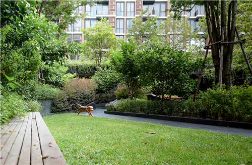 園冶杯專業(yè)獎|森之居(MORI HAUS)