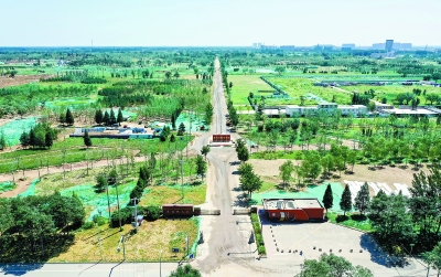 先造林，后造城：城市副中心“長”在森林里 