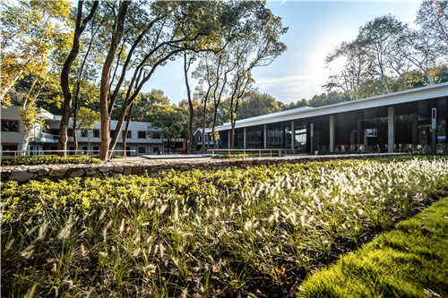 校園景觀作品集錦