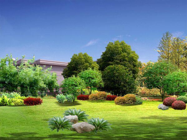 火神山醫(yī)院一半面積覆蓋花木，一天栽種完畢