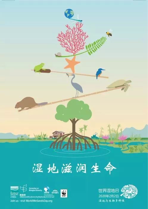 第24個(gè)世界濕地日：濕地與生物多樣性