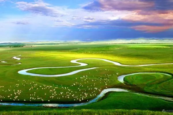 第24個(gè)世界濕地日：濕地與生物多樣性