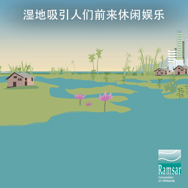 第24個(gè)世界濕地日：濕地與生物多樣性