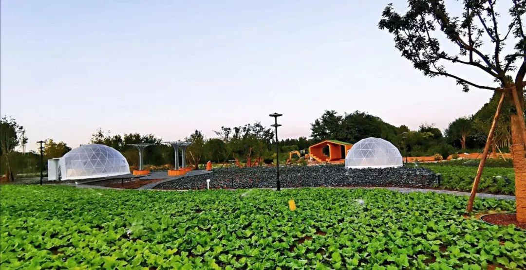 聯(lián)合國世界城市論壇開幕，園冶杯代表團(tuán)攜優(yōu)秀作品閃耀登場