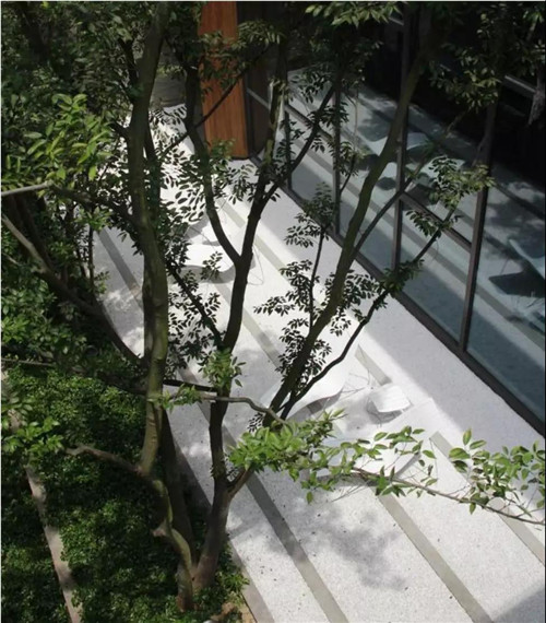 種地設計亮相聯合國世界城市論壇