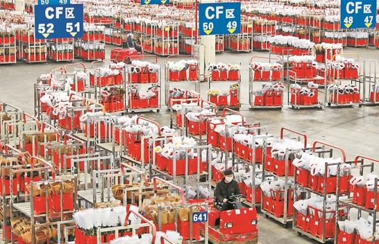 亞洲最大的鮮切花交易市場恢復(fù)拍賣交易