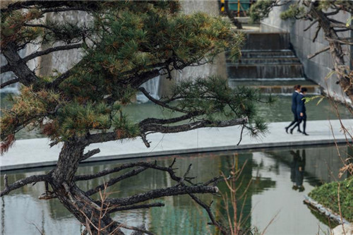 種地設(shè)計(jì)優(yōu)秀作品——萬(wàn)科觀湖禮著參展聯(lián)合國(guó)世界城市論壇