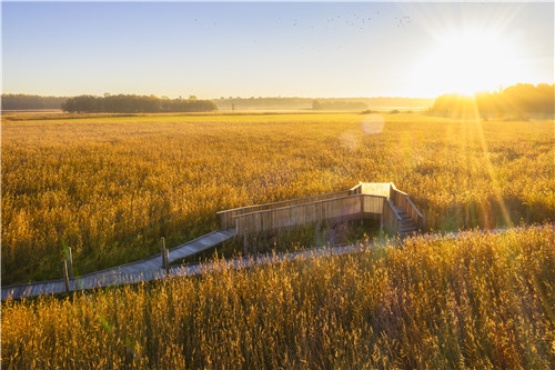 園冶杯專業獎|赫爾辛基自然保護區森林步道