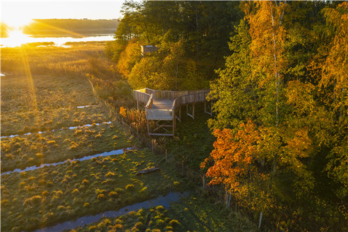 園冶杯專業獎|赫爾辛基自然保護區森林步道