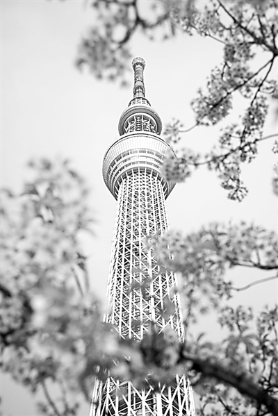 日本的實踐：深度老齡化社會的國土空間規劃