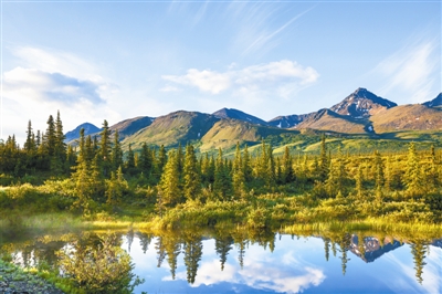 2019年世界林業(yè)十大關(guān)注熱點 