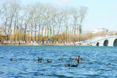 北京：公園游客分散秩序井然