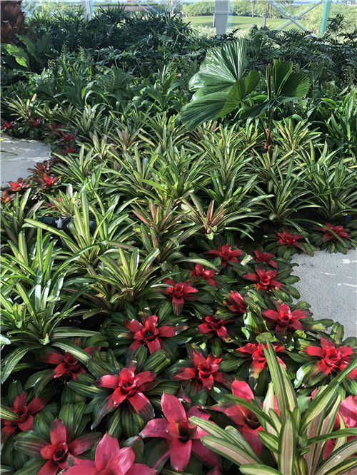 園冶杯專業獎|岡田馬尼拉綜合度假村