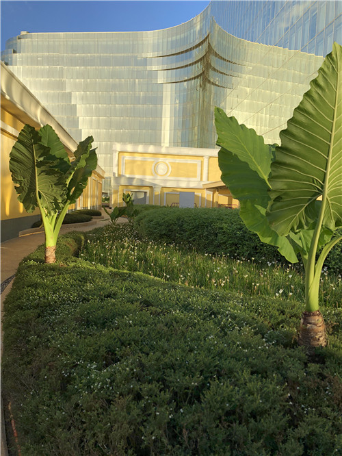 園冶杯專業獎|岡田馬尼拉綜合度假村
