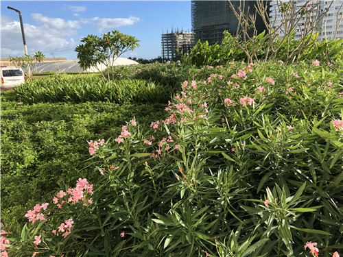 園冶杯專業獎|岡田馬尼拉綜合度假村