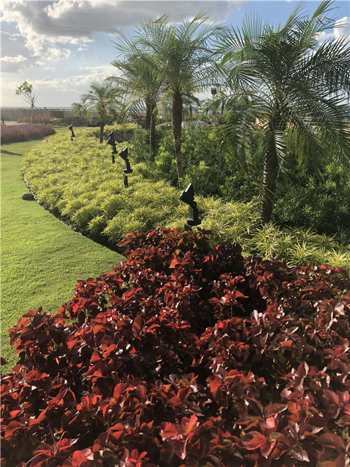 園冶杯專業獎|岡田馬尼拉綜合度假村