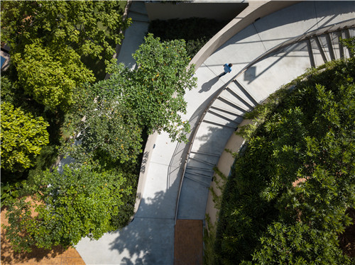 園冶杯專業(yè)獎(jiǎng)|熱帶度假勝地——“共享天空”