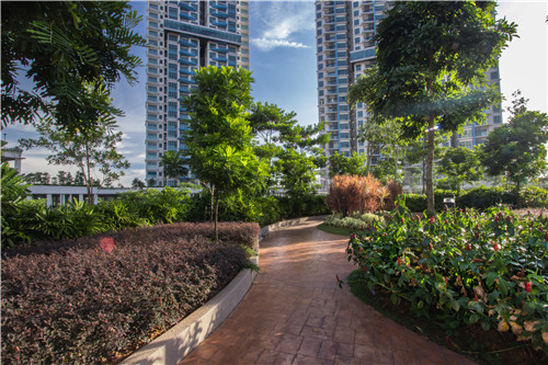 園冶杯專業(yè)獎(jiǎng)|熱帶度假勝地——“共享天空”