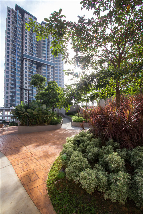 園冶杯專業(yè)獎(jiǎng)|熱帶度假勝地——“共享天空”