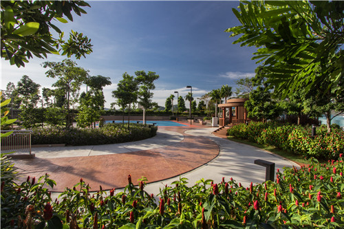 園冶杯專業(yè)獎(jiǎng)|熱帶度假勝地——“共享天空”