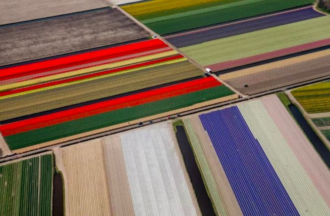 荷蘭花園的代表：庫(kù)肯霍夫公園