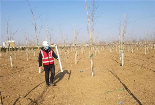面對疫情，中建五局園林青年不一young！
