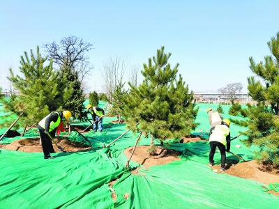 今年北京將綠化造林20萬(wàn)畝