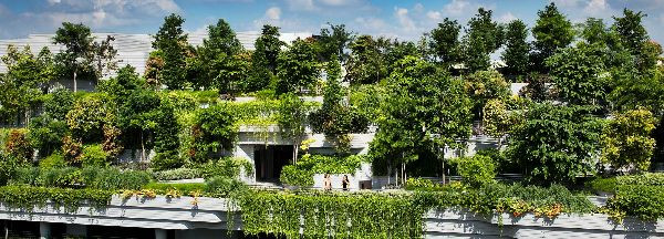 WOHA丨Kampung Admiralty社區綜合體