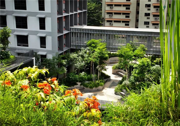 WOHA丨Kampung Admiralty社區綜合體