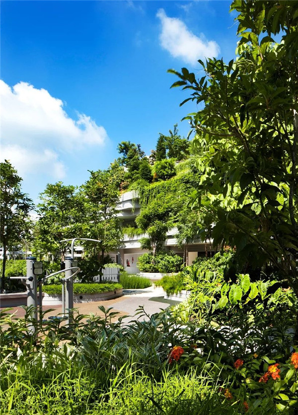 WOHA丨Kampung Admiralty社區綜合體