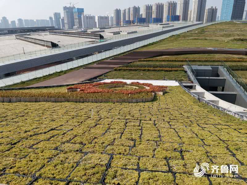 國內最大面積坡屋頂將亮相山東日照