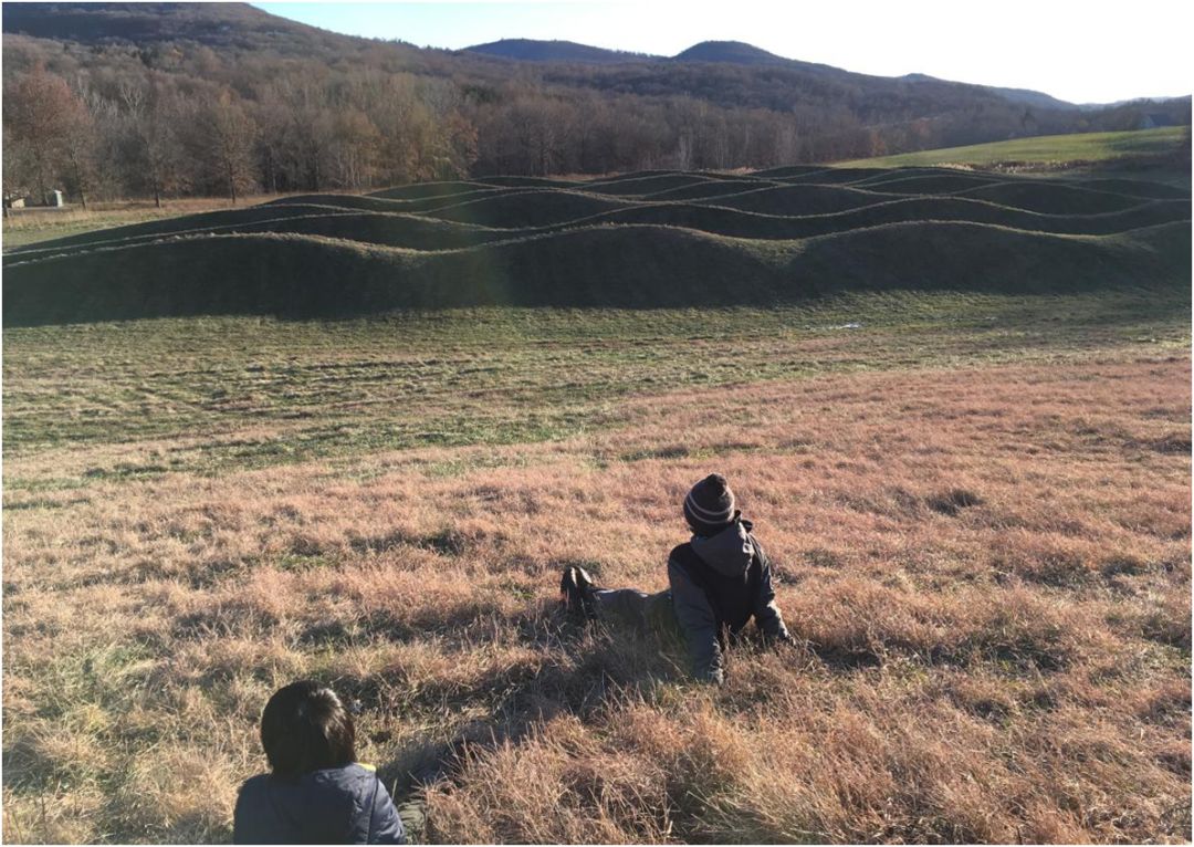 唐子穎:景觀的藝術性