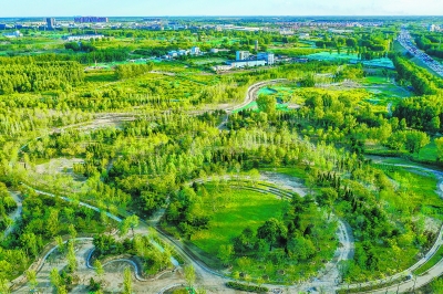 北京城市副中心創(chuàng)建國家森林城市