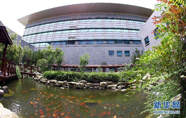 李樹華：園藝療法保持復工后身心健康