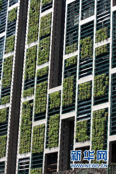 李樹華：園藝療法保持復工后身心健康