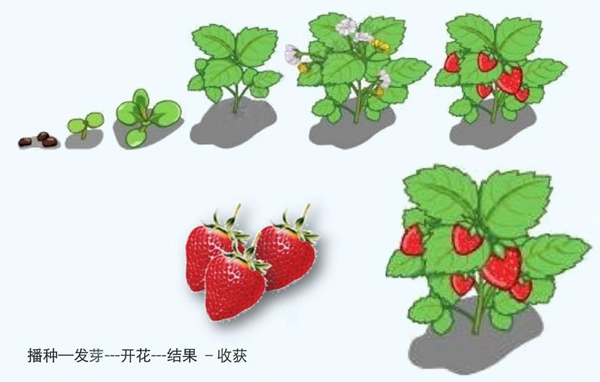 李樹華：園藝療法保持復工后身心健康