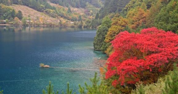 杭州錢(qián)塘江兩岸未來(lái)將被打造成世界級(jí)濱水綠廊