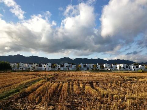 杭州錢(qián)塘江兩岸未來(lái)將被打造成世界級(jí)濱水綠廊