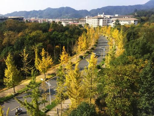 杭州錢(qián)塘江兩岸未來(lái)將被打造成世界級(jí)濱水綠廊