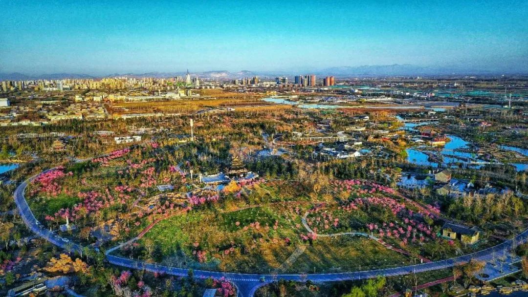 河北邢臺(tái)園博園梅嶺成最新網(wǎng)紅打卡地