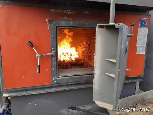 大量國際花展取消，眾多國家花企深陷困境